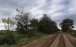 70 KM POR CAMINOS RURALES