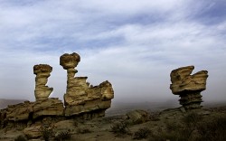 TALAMPAYA, ISCHIGUALASTO, LAG. BRAVA Y EL CHIFLON