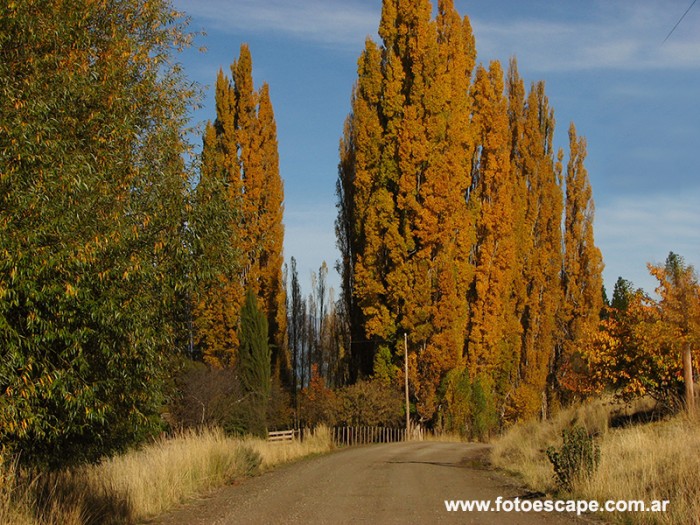 Calendario de Actividades de Fotoescape